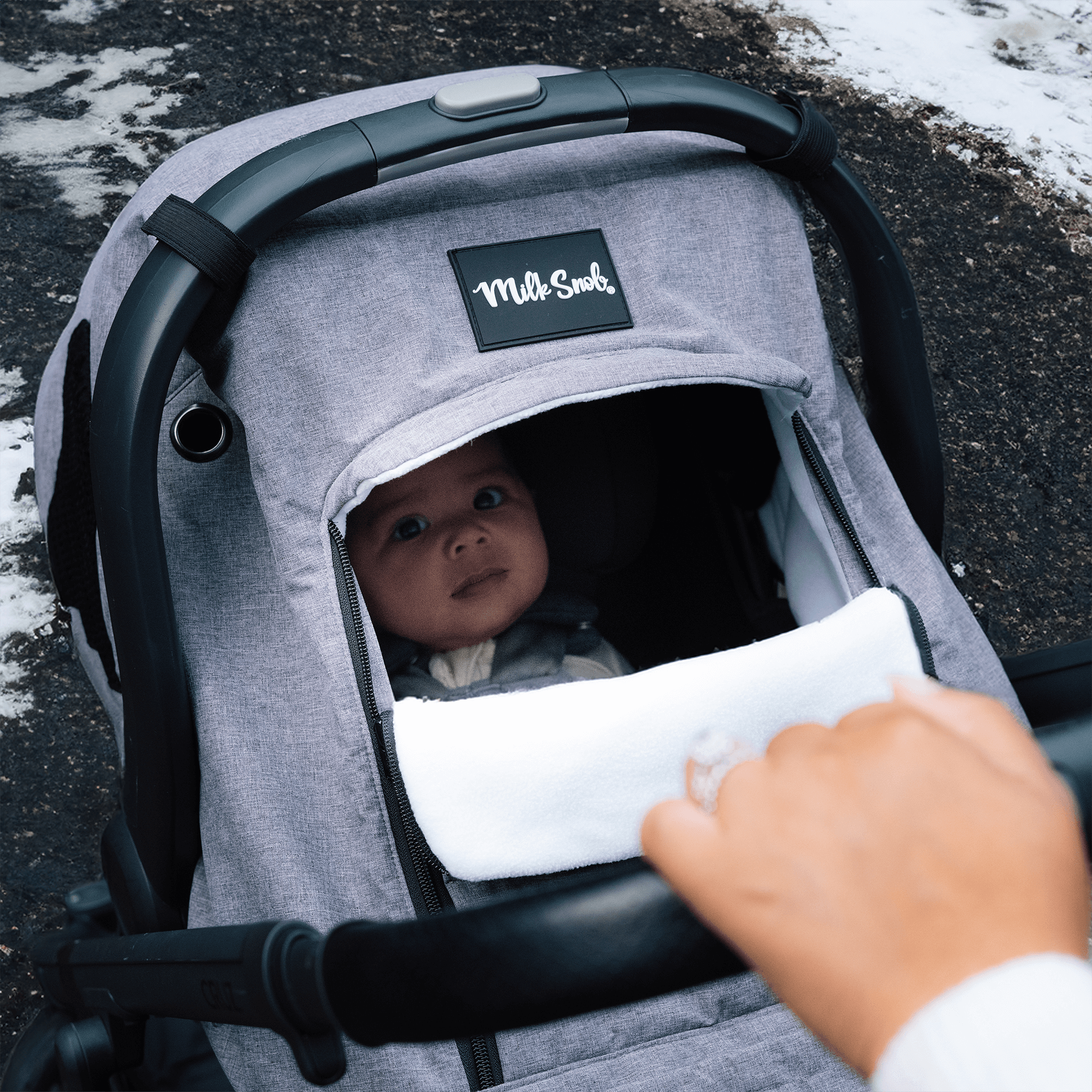 Winter Cover