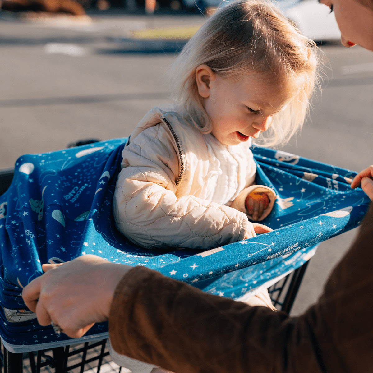 shopping cart cover