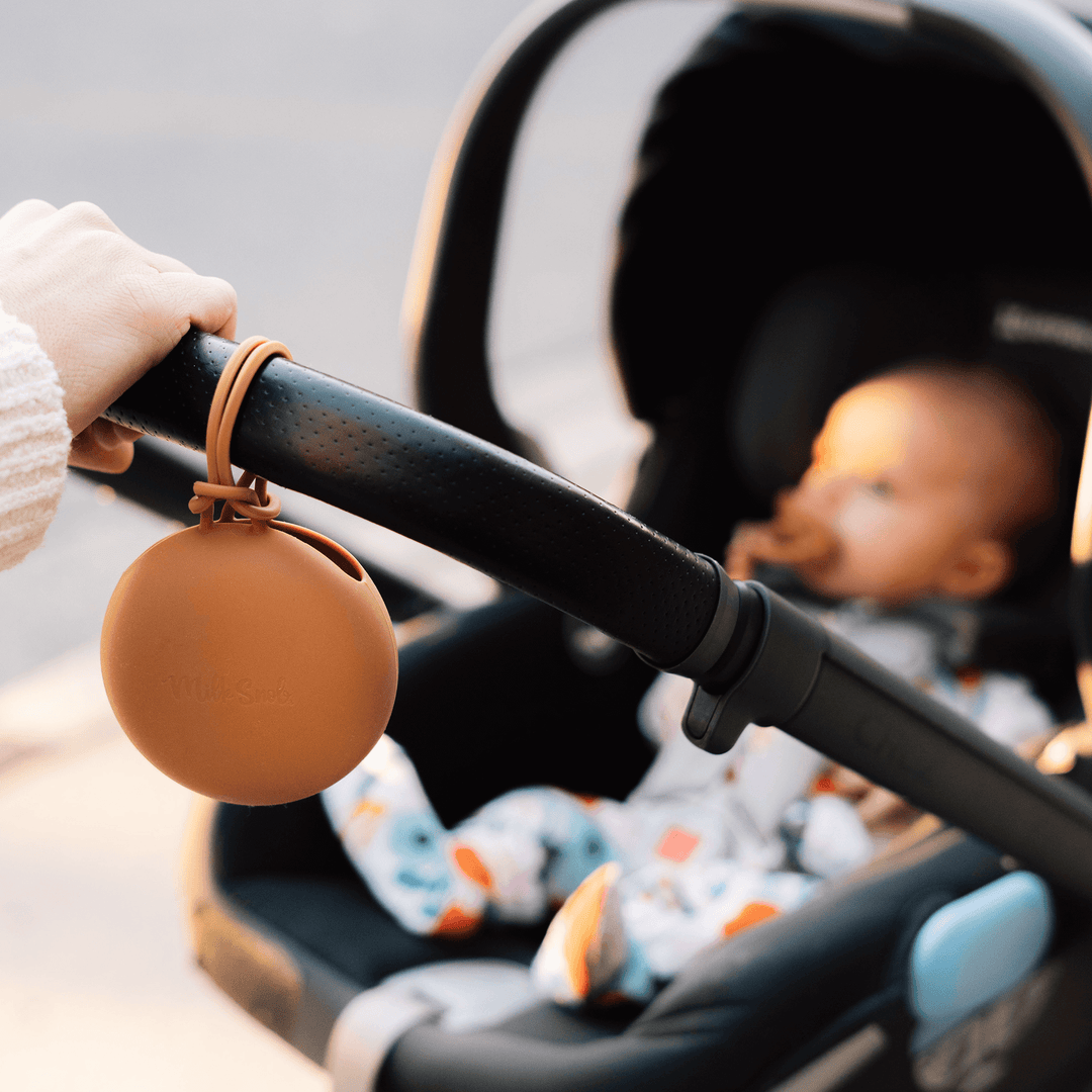 pacifier case