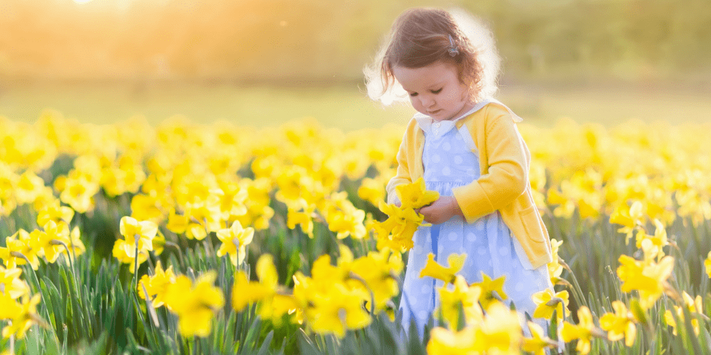 Fun Family Activities To Do In The Spring