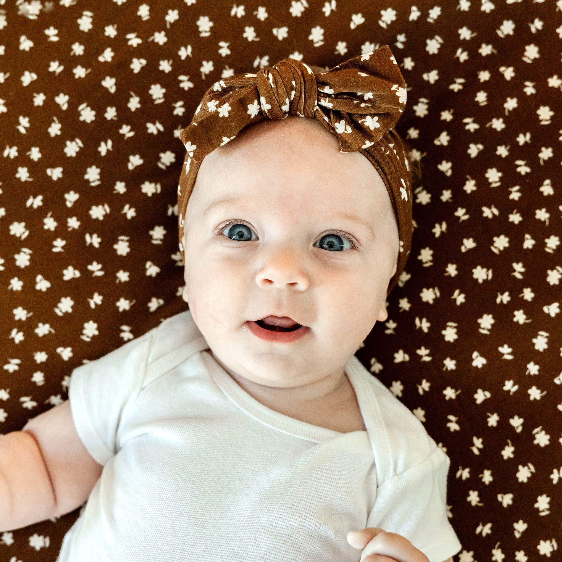 BROWN SUGAR BLOOM BOW