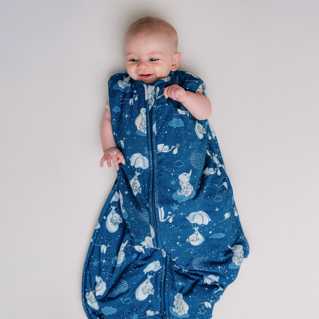 Disney Sleep Bag