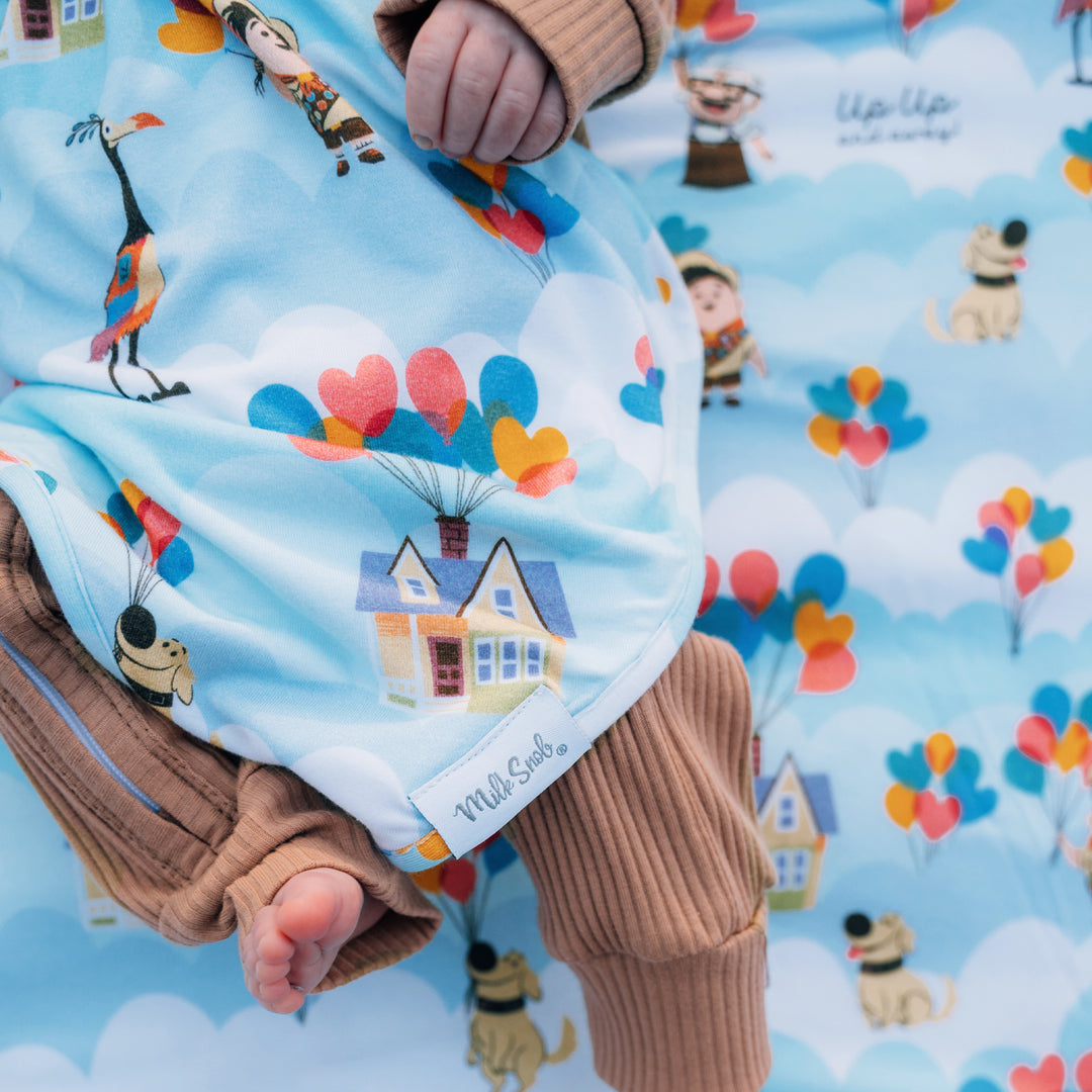 DISNEY PIXAR UP IN THE CLOUDS LOVEY