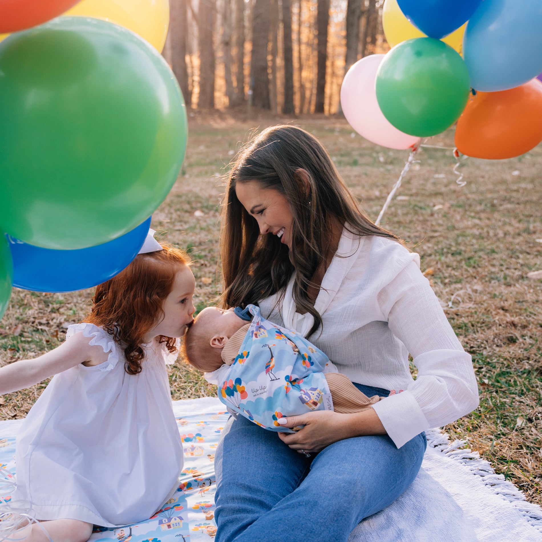 DISNEY PIXAR UP IN THE CLOUDS LOVEY