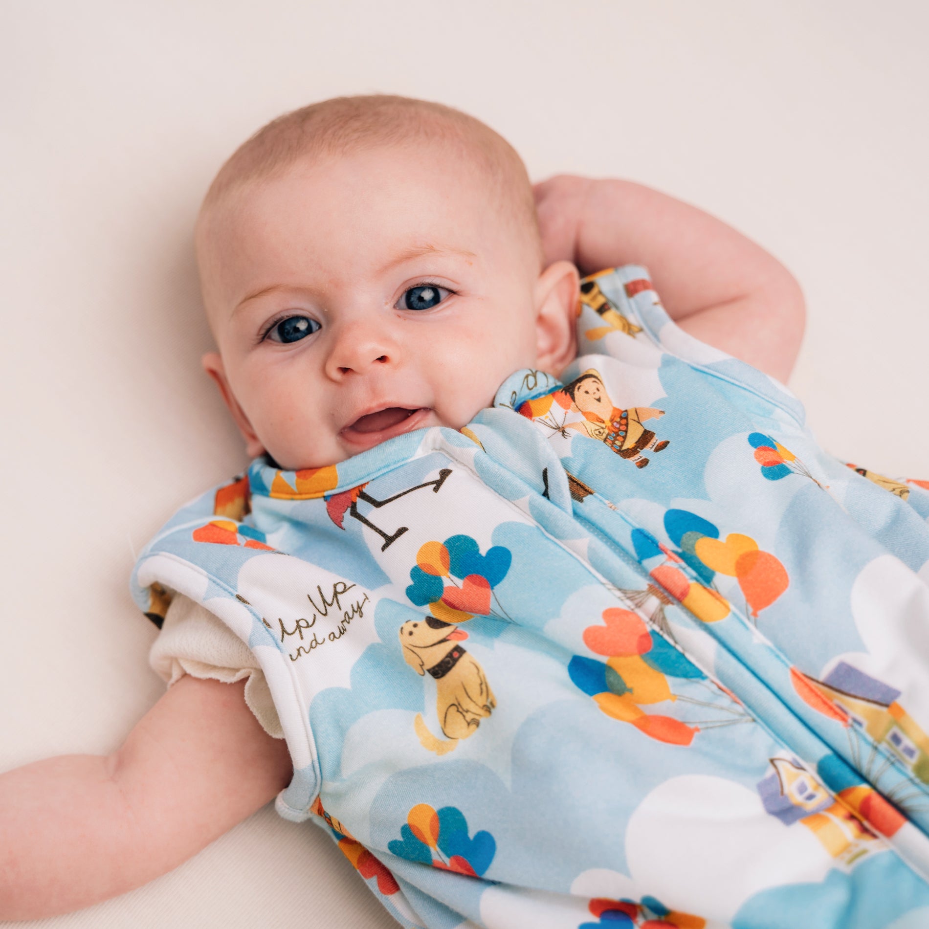 DISNEY PIXAR UP IN THE CLOUDS SLEEP BAG
