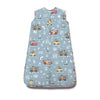 DISNEY AND PIXAR CARS MAP SLEEP BAG