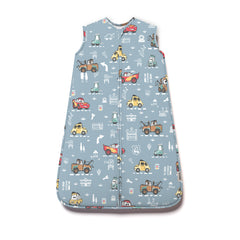 DISNEY AND PIXAR CARS MAP SLEEP BAG
