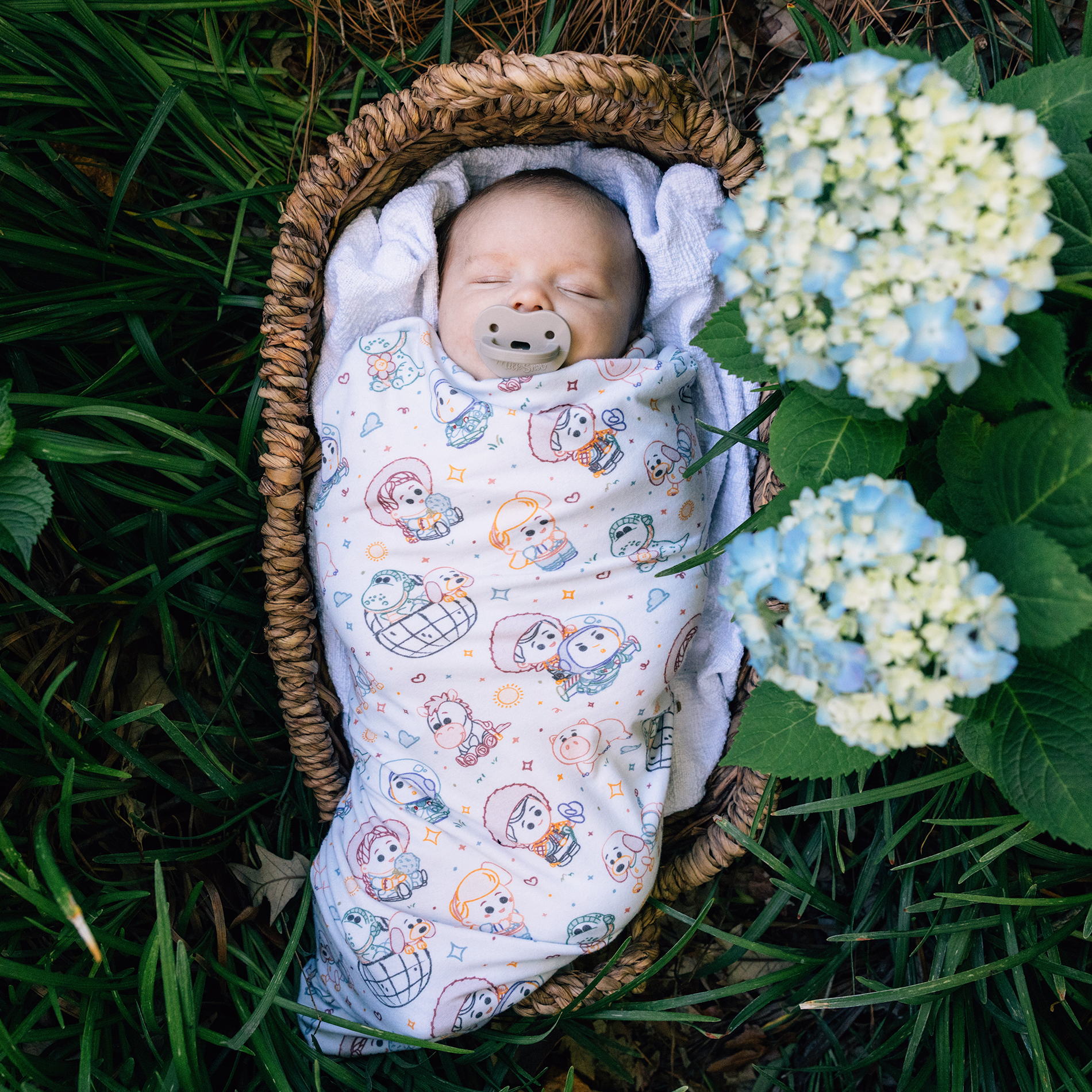 DISNEY AND PIXAR GARDEN PALS BLANKET