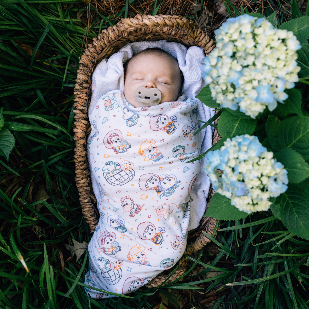 DISNEY AND PIXAR GARDEN PALS BLANKET
