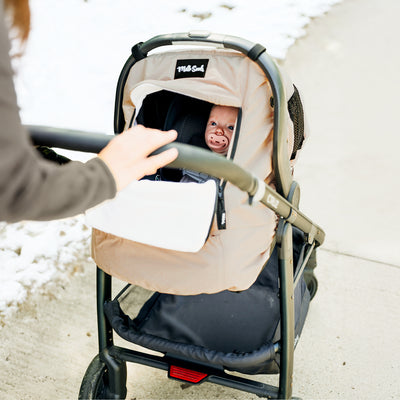 FAWN WINTER COVER