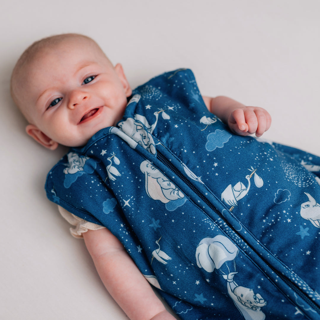 dumbo schlafsack Disney Sleep Bag