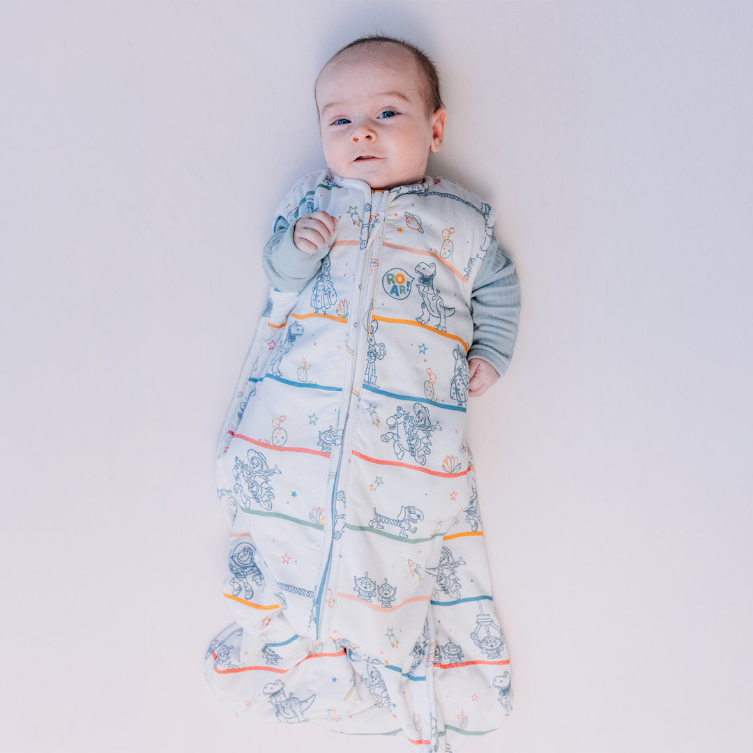 DISNEY AND PIXAR TOY STORY PLAYTIME SLEEP BAG