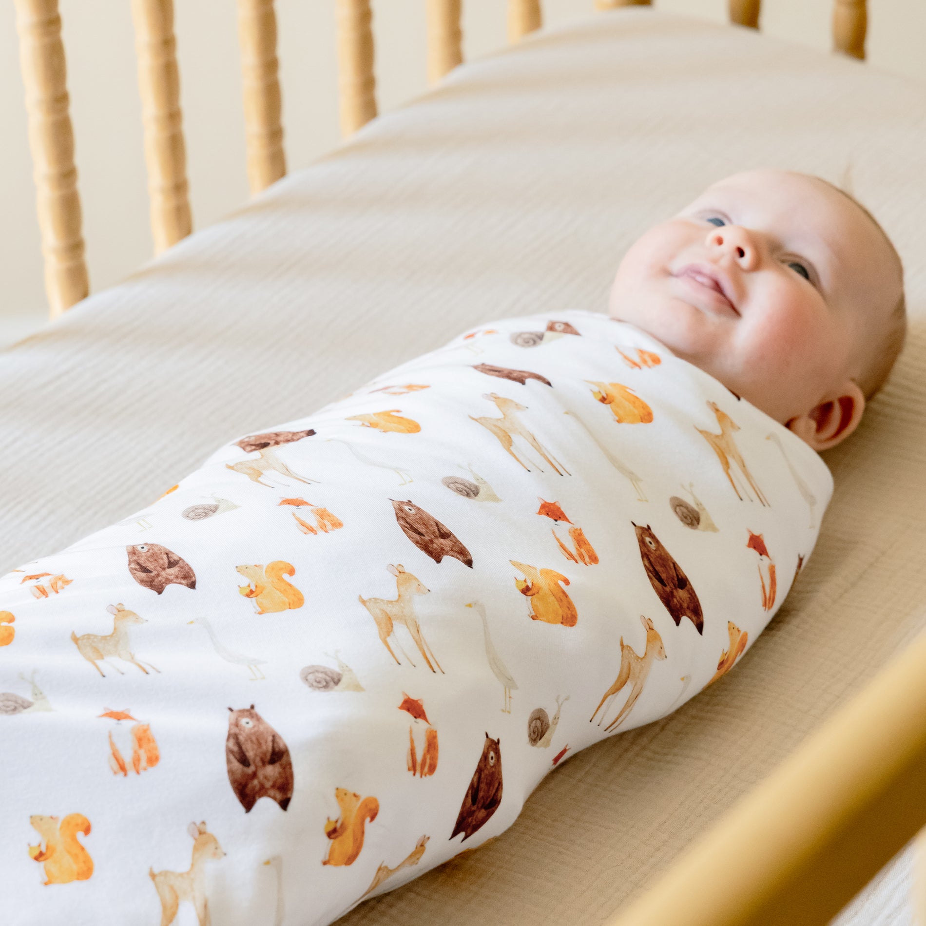 MAPLEWOOD FRIENDS BLANKET