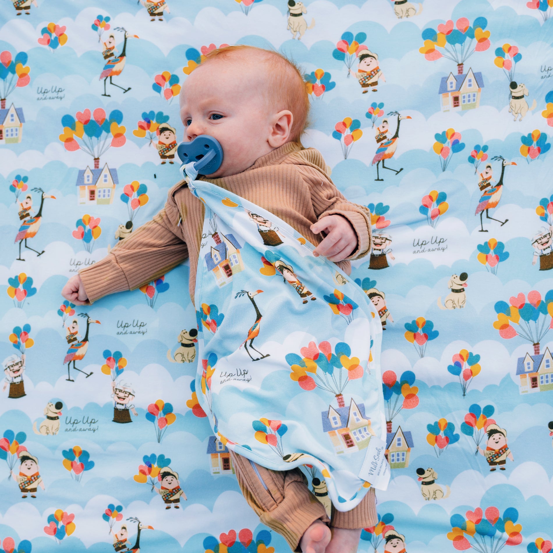 DISNEY PIXAR UP IN THE CLOUDS LOVEY