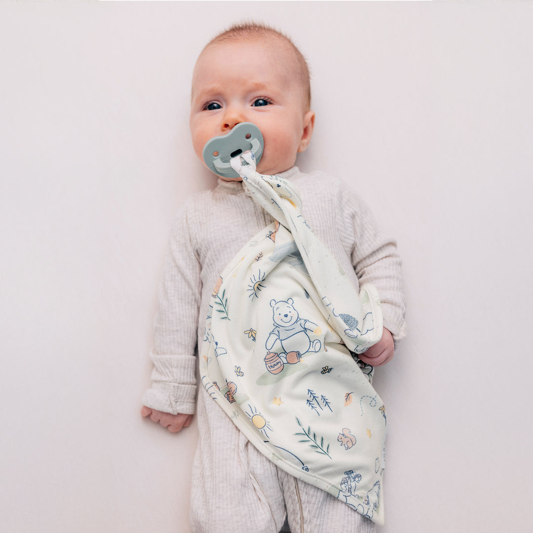 DISNEY WINNIE THE POOH MORNING TIME LOVEY