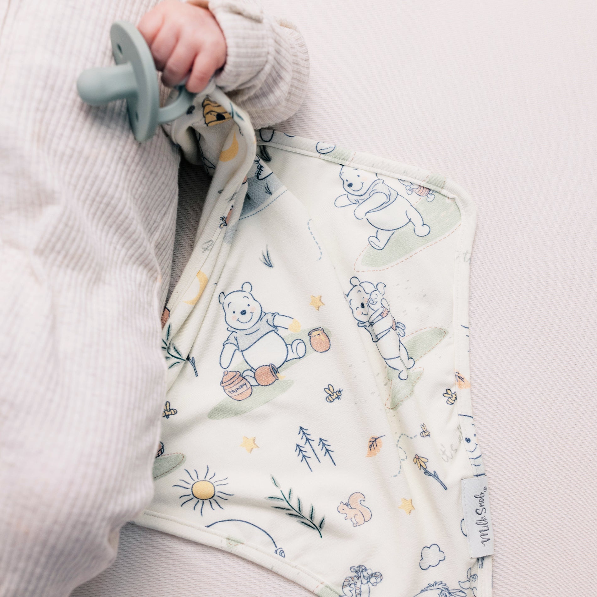 DISNEY WINNIE THE POOH MORNING TIME LOVEY