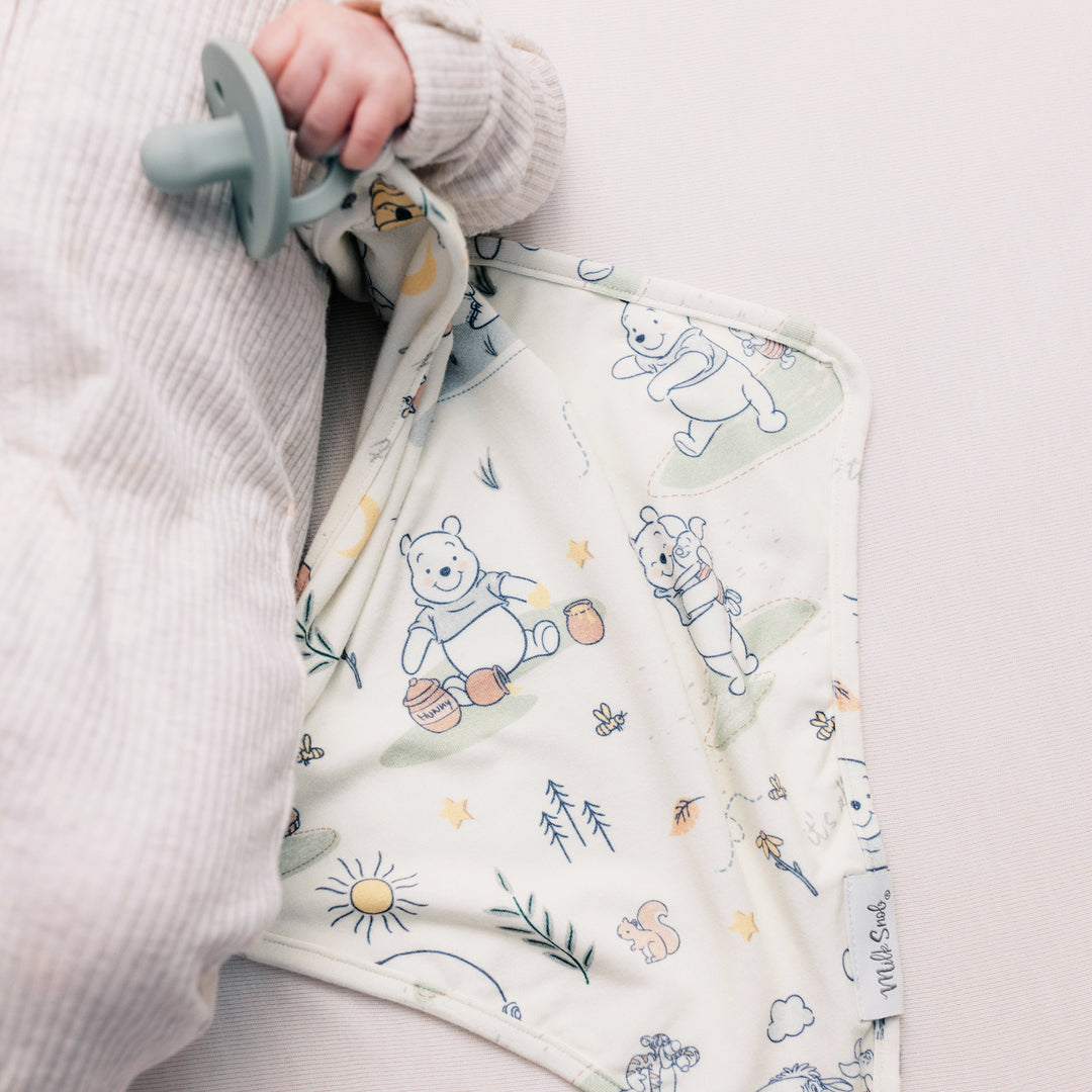 DISNEY WINNIE THE POOH MORNING TIME LOVEY