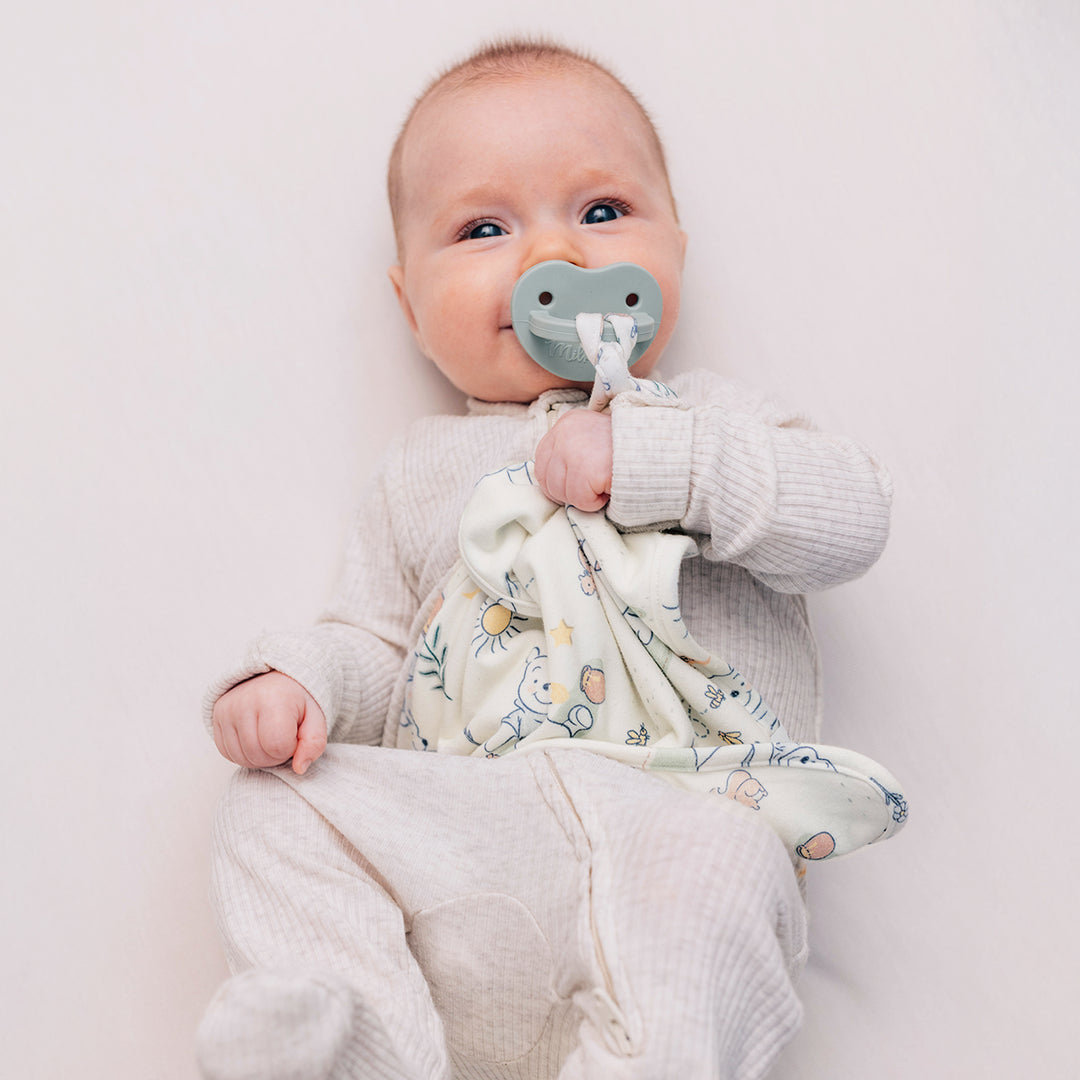 DISNEY WINNIE THE POOH MORNING TIME LOVEY