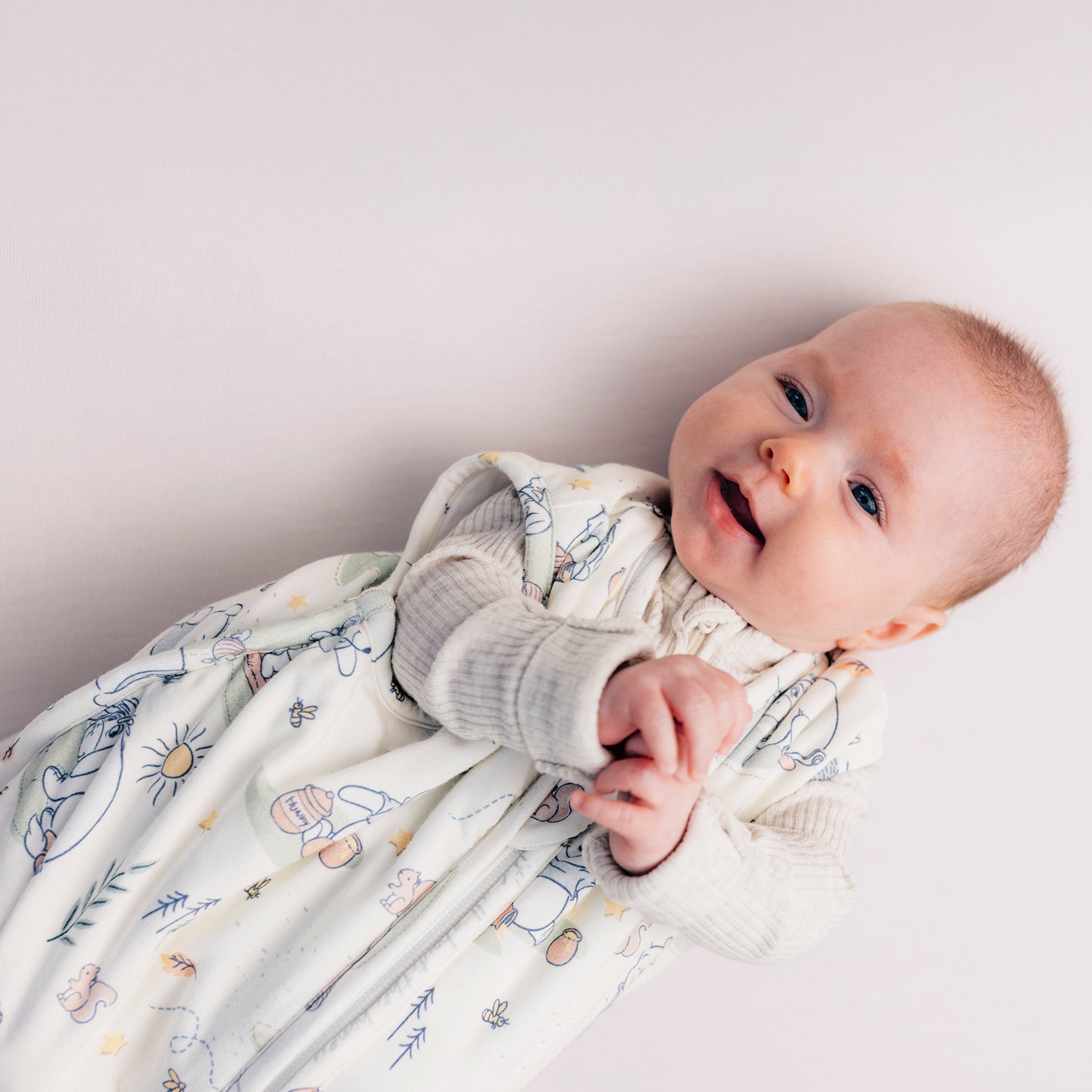 DISNEY WINNIE THE POOH MORNING TIME SLEEP BAG