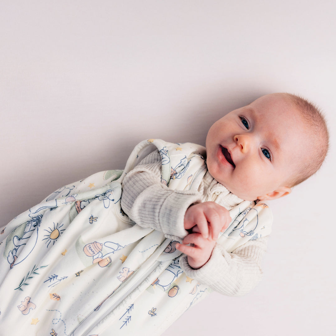 DISNEY WINNIE THE POOH MORNING TIME SLEEP BAG