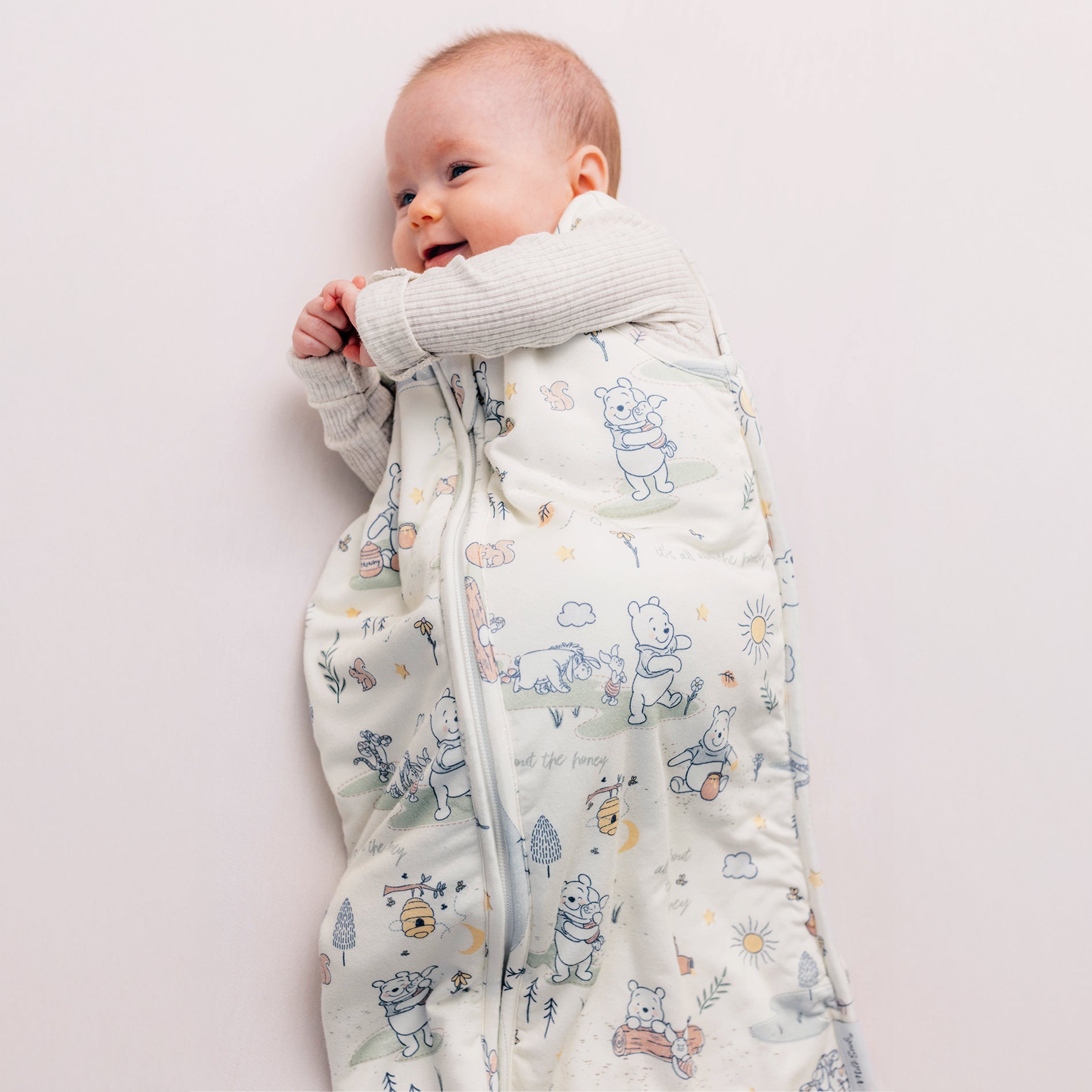 DISNEY WINNIE THE POOH MORNING TIME SLEEP BAG