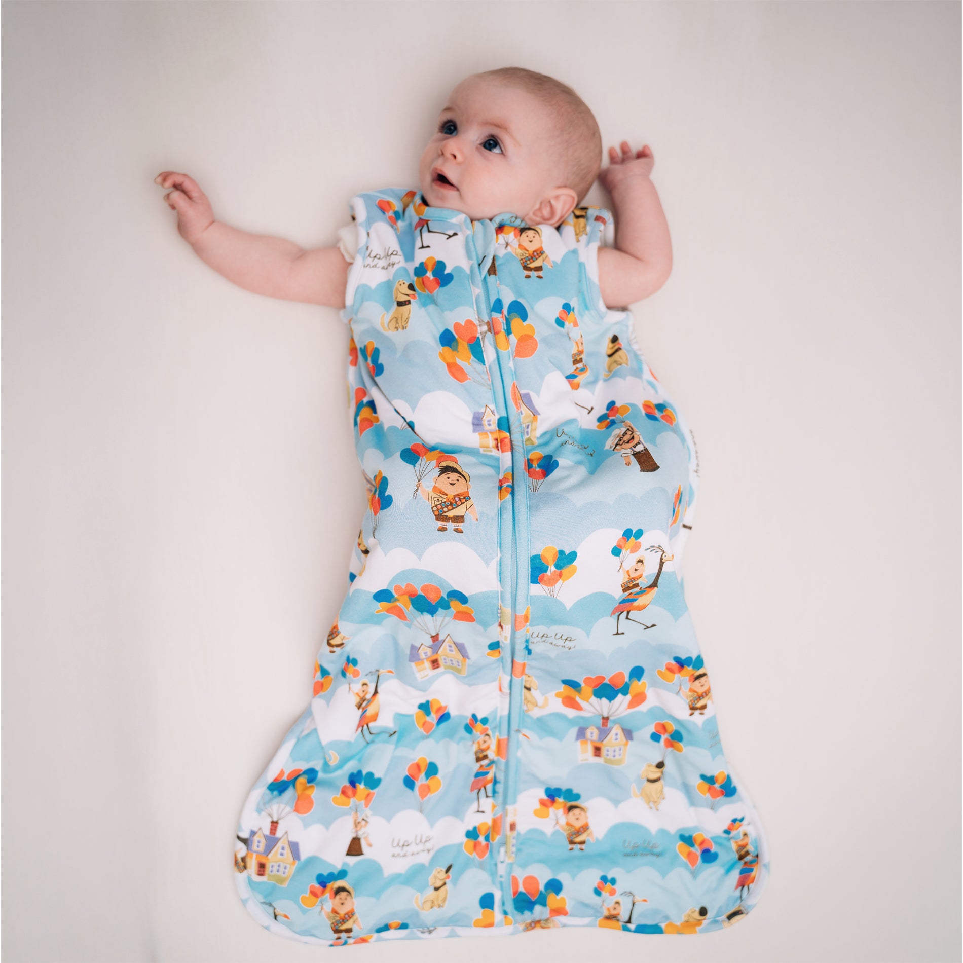 DISNEY PIXAR UP IN THE CLOUDS SLEEP BAG