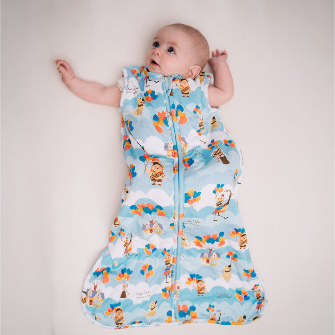 DISNEY PIXAR UP IN THE CLOUDS SLEEP BAG
