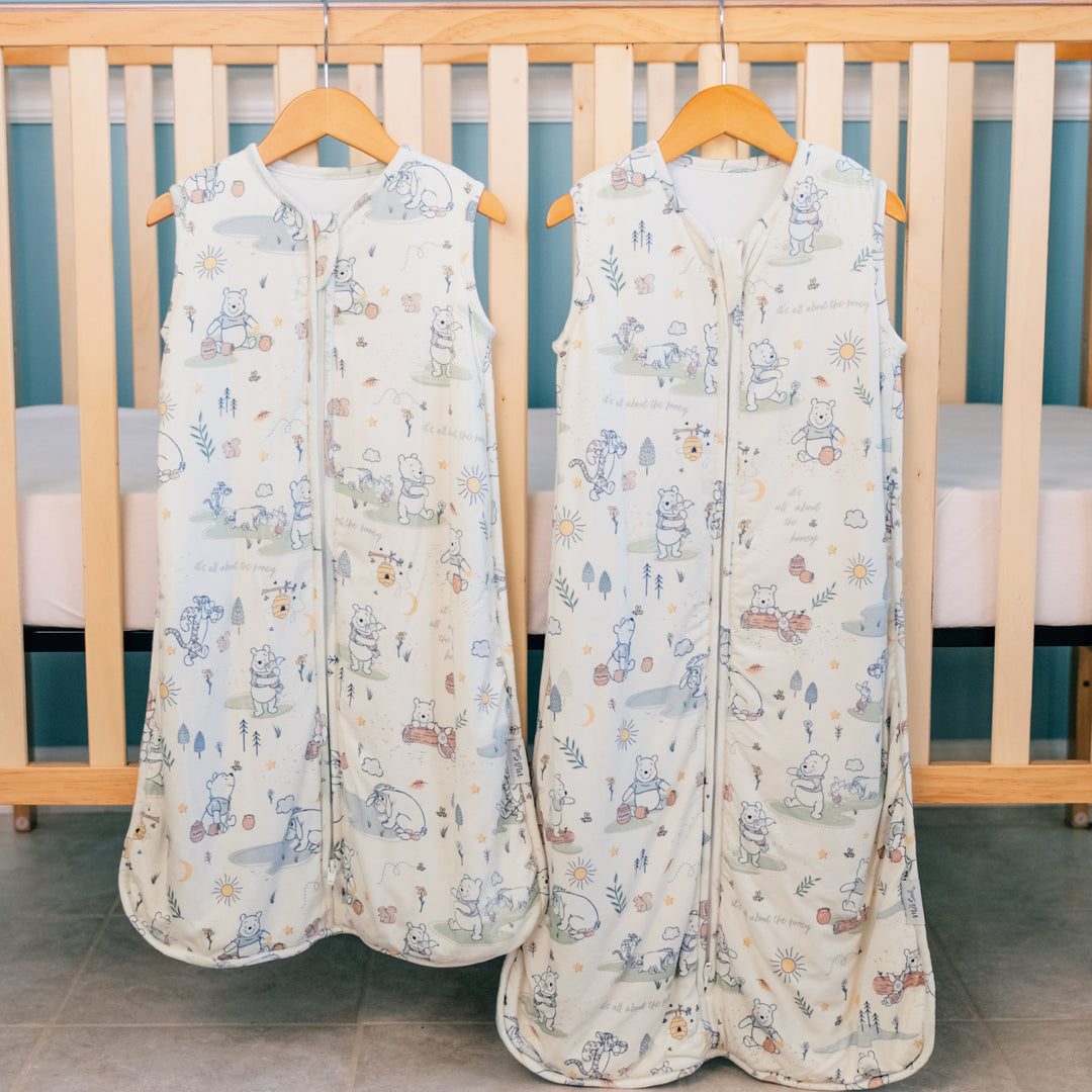 DISNEY WINNIE THE POOH MORNING TIME SLEEP BAG