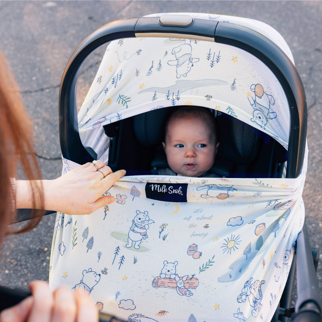 DISNEY WINNIE THE POOH MORNING TIME COVER